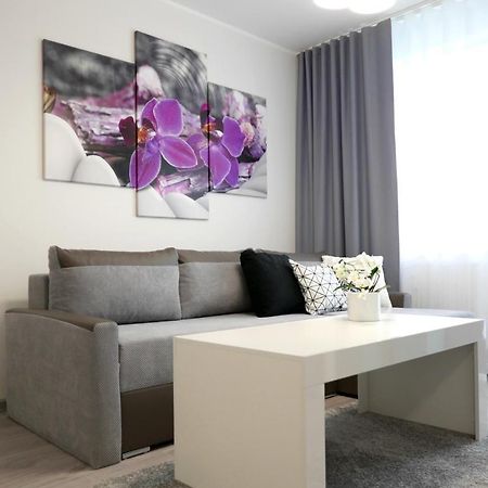 كولوبرزيغ Apartamenty Mizu - Storczyk المظهر الخارجي الصورة